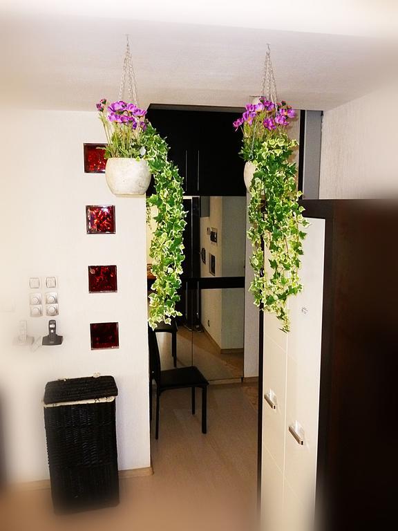 Ditton Apartment City Center 陶格夫匹尔斯 客房 照片