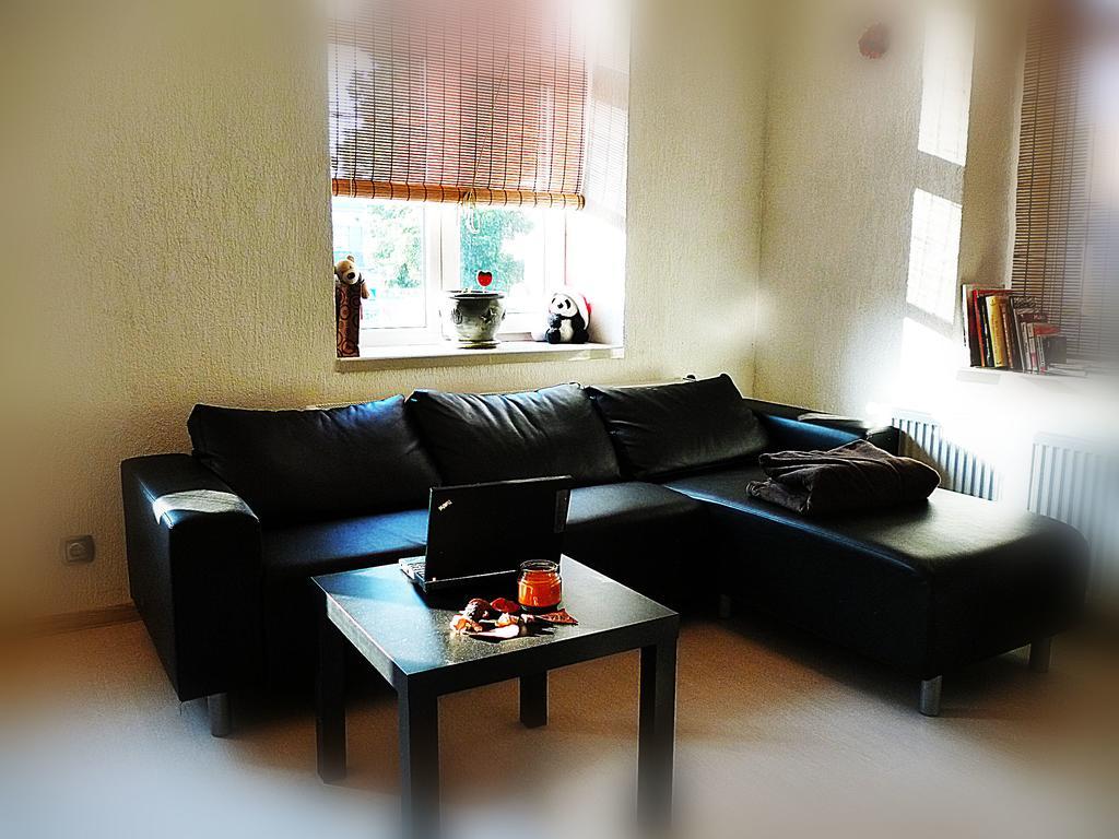 Ditton Apartment City Center 陶格夫匹尔斯 客房 照片